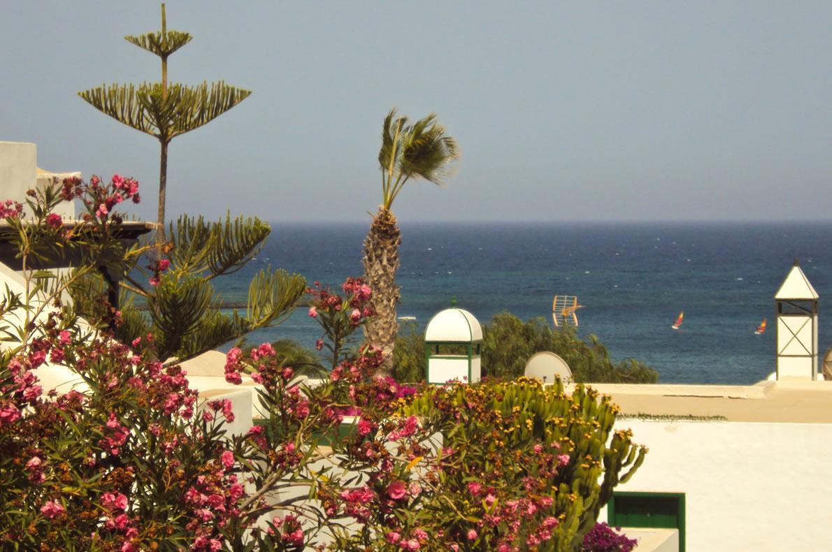 Celeste Costa Teguise